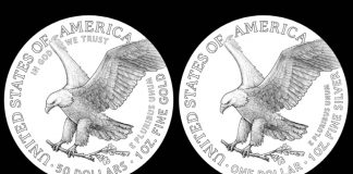 2021 American Eagle Gold and Silver Coin Candidate Designs Unveiled 2021 American Eagle gold and silver coin reverse candidate design examples