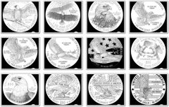 American Eagle gold coin reverse candidate designs -2