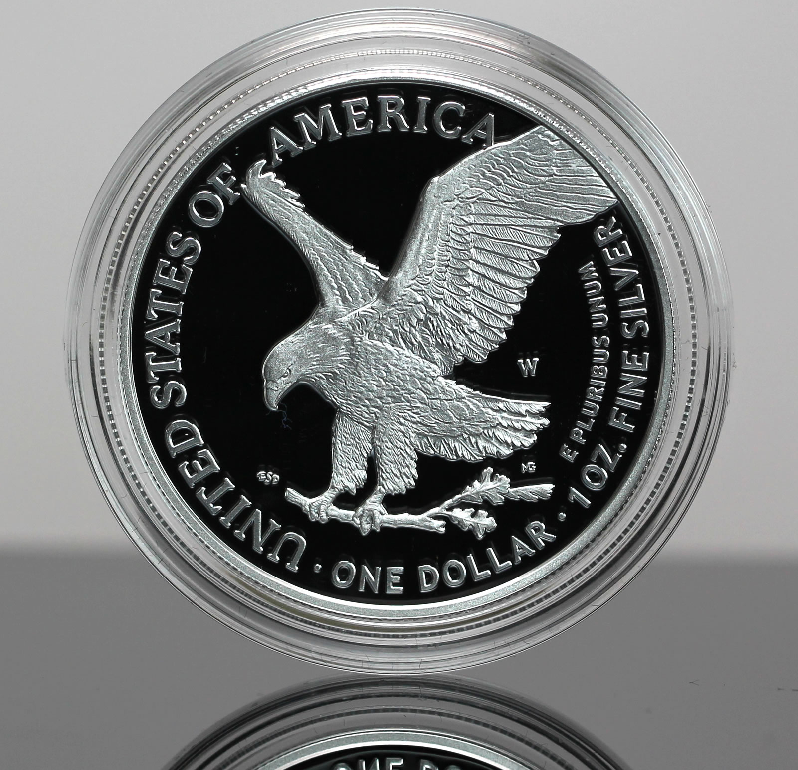 2020 American Silver Eagle in Plastic Air Tite and Blue Gift Box with our Certificate of Authenticity Dollar Uncirculated Us Mint 