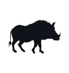 boar