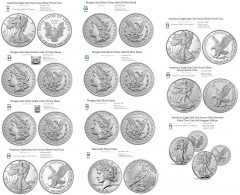 2021 Silver Eagle Variations as of 2021 1008 without Prices but with Dates.jpg