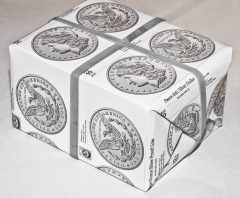 DSC_4234 2021 Silver Eagles Wrapping Paper – Cleaned Up @50%