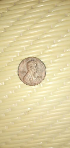 IMG_٢٠٢١١٠٢٨_١٧٥٥٠٧