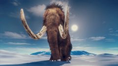 Mammoth