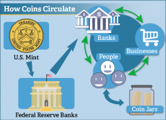 coin_circulation_cycle_infographic.png
