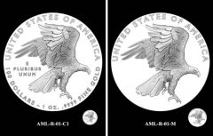 AML-R-01