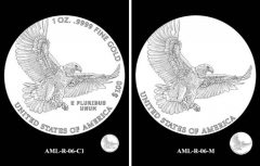 AML-R-06