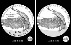 AML-R-08