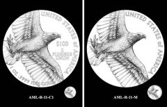 AML-R-11