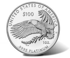 2022-W Proof American Platinum Eagle – Reverse