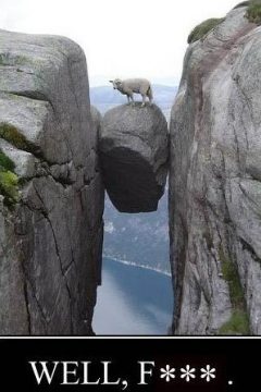 anthropomorphizing-danger-goats-mountains-rocks-swearing-terrifying-3897100288.jpg