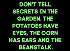 dont-tell-secrets-in-the-garden-the-potatoes-have-eyes-43877321.jpg
