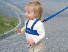 toddler-strapped-into-safety-harness-crossing-the-road.jpg