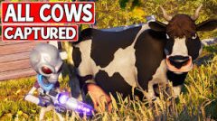 cowsdest.jpg