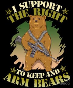 cute-i-support-the-right-to-keep-and-arm-bears-pun-the-perfect-presents