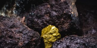 Precious Metals Drop on Monday, Aug. 15 Gold shed 1% on Monday