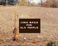 corrmaze