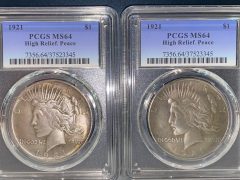 Fake Peace dollars same certs