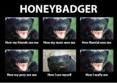 05B01BDA-77F5-4871-9D96-66F4CA4102A9