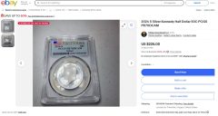 2024-S_Silver-Copy