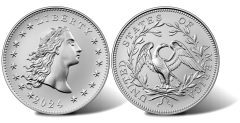 2024 Flowing Hair Silver Medal Images