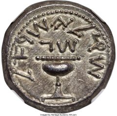 JUDAEA. Jewish War AR shekel NGC Choice AU★ 5_5 – 4_5
