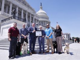 U.S. Mint to Celebrate Working Dogs with Commemorative Coins in 2027 America's VetDogs image