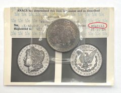 ANACS-Split-Grade-Photo-Grade-Coin-marked