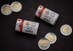 Collector Edition $2 Special Wrap Roll 30th Anniversary of the Toonie