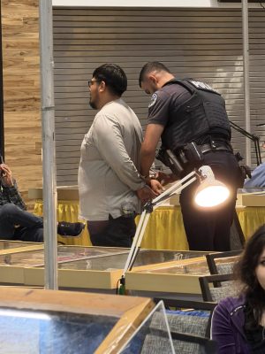 Stolen coin suspect arrested by Schaumburg Police