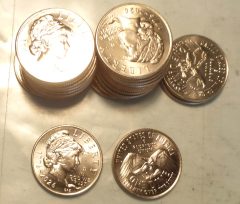 2026-DIMES