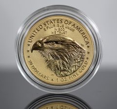 Close-up of a gold coin inside a clear plastic capsule, showing United States of America and E Pluribus Unum inscriptions with an eagle motif.