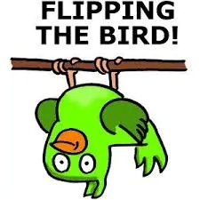 flipped-bird
